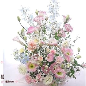 ����������*�ԂP��F�s���N�̃o�X�P�b�g�A�����W�y���͂����w�艺���������͉z�a���������L�O�����������t�����[�o�X�P�b�g�A�����W�����g