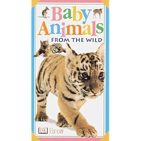 Baby Animals From the Wild [VHS] [Import]