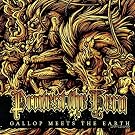 Gallop Meets the Earth (W/Dvd)