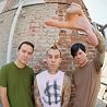 BLINK 182点の画像