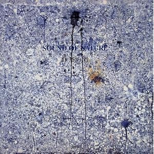 ���R�̉��\�x���K���̍�