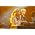 シェリル・クロウ のサムネイル画像