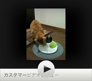 ���̓�����ς�ɂ̓N���b�N���܂��B