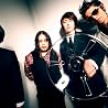 KING BROTHERS点の画像