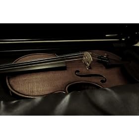 Kenko PRO1D �v���e�N�^�[(W)���C�h