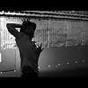 最新PV「Lotus Flower」公開中！