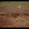 まっすぐに