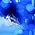 JUJU �̃T���l�C���摜