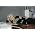 Tina Dico �̃T���l�C���摜