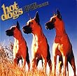 hot dogs