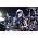 KISS のサムネイル画像