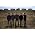 ゴメス のサムネイル画像