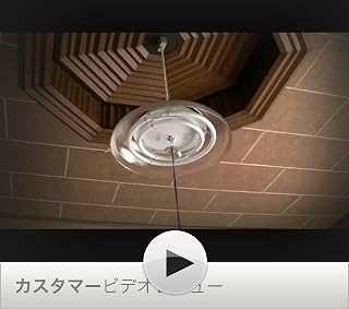 この動画を観るにはクリックします。