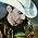 Brad Paisley のサムネイル画像