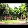 Acousphere CM Movie - Okinawa Cruise BGM