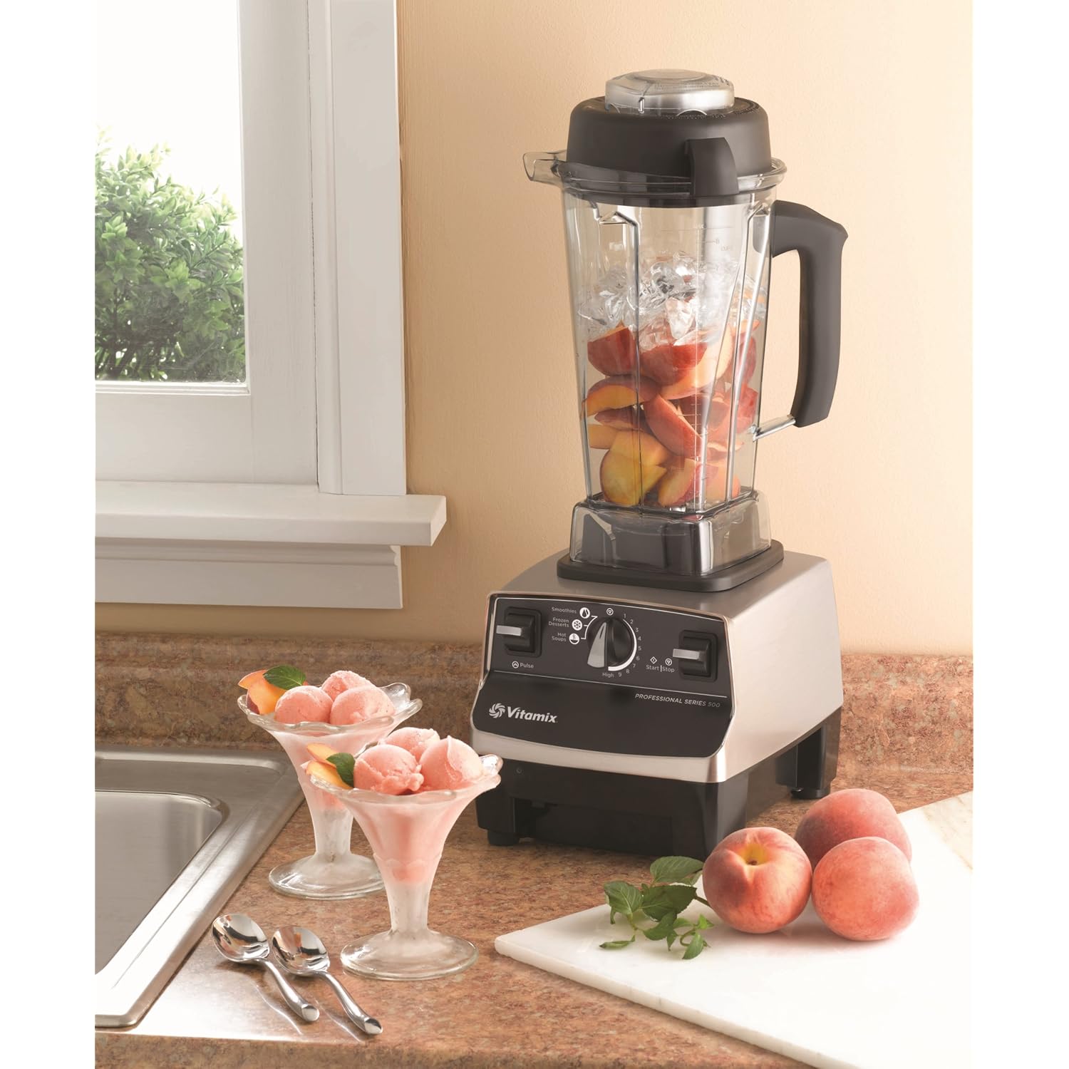 VitaMix バイタミックス CIA プロフェッショナ