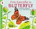 Deborah Heiligman: From Caterpillar to Butterfly  (Let's-Read-and-Find-Out Science, Stage 1)