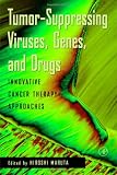 Tumor-Suppressing Viruses, Genes, and Drugs: Innovative Cancer Therapy Approaches