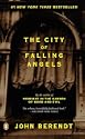 The City of Falling Angels