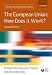 The European Union: How Does It Work? (The New European Union Series)