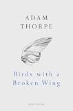 'Birds with a Broken Wing' book cover