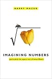 Imagining Numbers: (particularly the square root of minus fifteen)