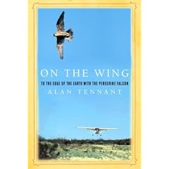 On the Wing: To the Edge of the Earth with the Peregrine Falcon;( Rough Cut)