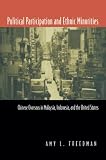 Political Participation and Ethnic Minorities