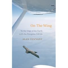 On the Wing : In Flight With a Peregrine Falcon