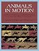 Animals in Motion