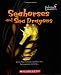 Seahorses And Sea Dragons