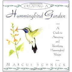 Creating a Hummingbird Garden