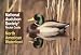 National Audubon Society Pocket Guide to Waterfowl (National Audubon Society Pocket Guides) by NATIONAL AUDUBON SOCIETY