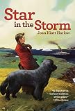 Star in the Storm (Aladdin Historical Fiction)