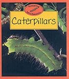 Caterpillars (Keeping Minibeasts)