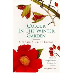 Colour in the Winter Garden