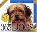   - The Original 365 Dogs Page-A-Day Calendar 2007