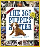 The 365 Puppies-A-Year Calendar 2007