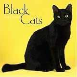 Black Cats 2006 Calendar
