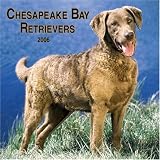 Chesapeake Bay Retrievers 2006 Wall Calendar