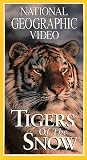 Nat'l Geo: Tigers of the Snow