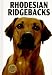 Rhodesian Ridgebacks by Frank C., M.D. Lutman