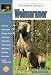 The Guide to Owning a Weimaraner (Guide to Owning A...) by Anna Katherine Nicholas