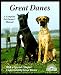 Great Danes: Everything About Purchase, Care, Nutrition, Breeding, Behavior, and Training With 46 Color Photos (A Complete Pet Owner's Manual) by Joe Stahlkuppe