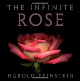 The Infinite Rose