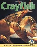 cover of Crayfish (Early Bird Nature Books)