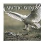 Arctic Wings: Birds of the Arctic National Wildlife Refuge