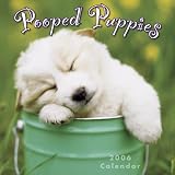 Pooped Puppies 2006 Calendar