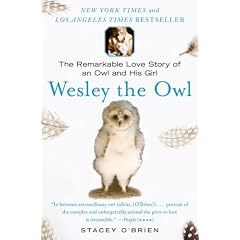 Wesley the Owl: The Remarkable Love Story of an Owl and His Girl