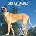Great Danes 2007 Calendar by Browntrout Publishers